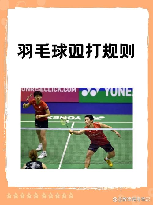 羽毛球單打戰術(shù)_羽毛球雙打技術(shù)要點(diǎn)_羽毛球雙打發(fā)球技巧